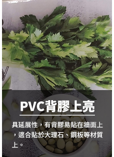 05PVC背膠上亮Poly Propylene Coating Stickers poster.jpg